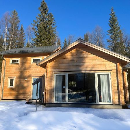 Mountain Holiday Homes - Ottsjoe, Trillevallen -Sweden Åre Dış mekan fotoğraf