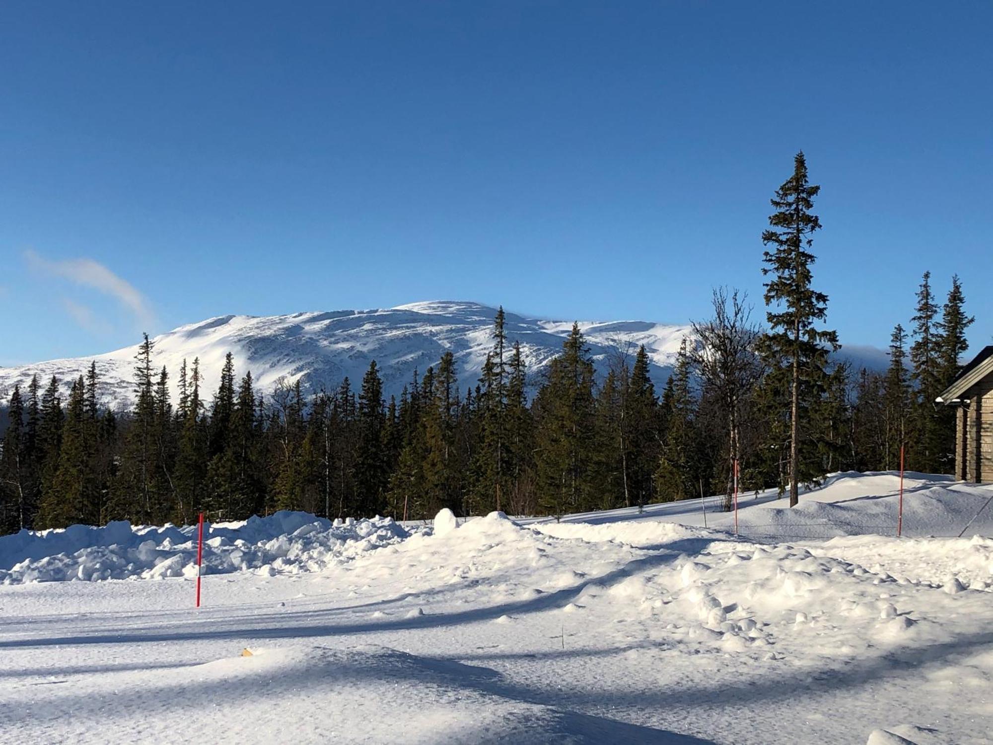 Mountain Holiday Homes - Ottsjoe, Trillevallen -Sweden Åre Dış mekan fotoğraf