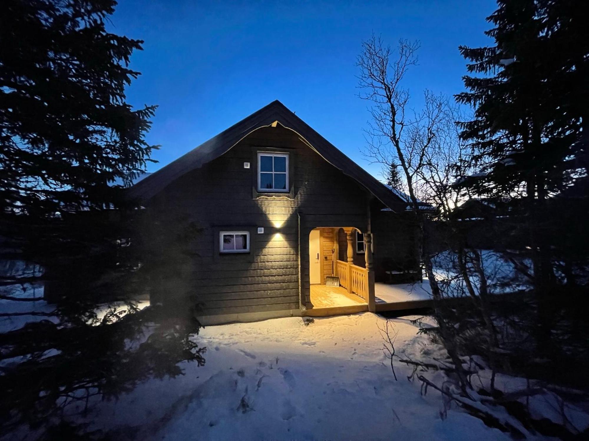 Mountain Holiday Homes - Ottsjoe, Trillevallen -Sweden Åre Dış mekan fotoğraf