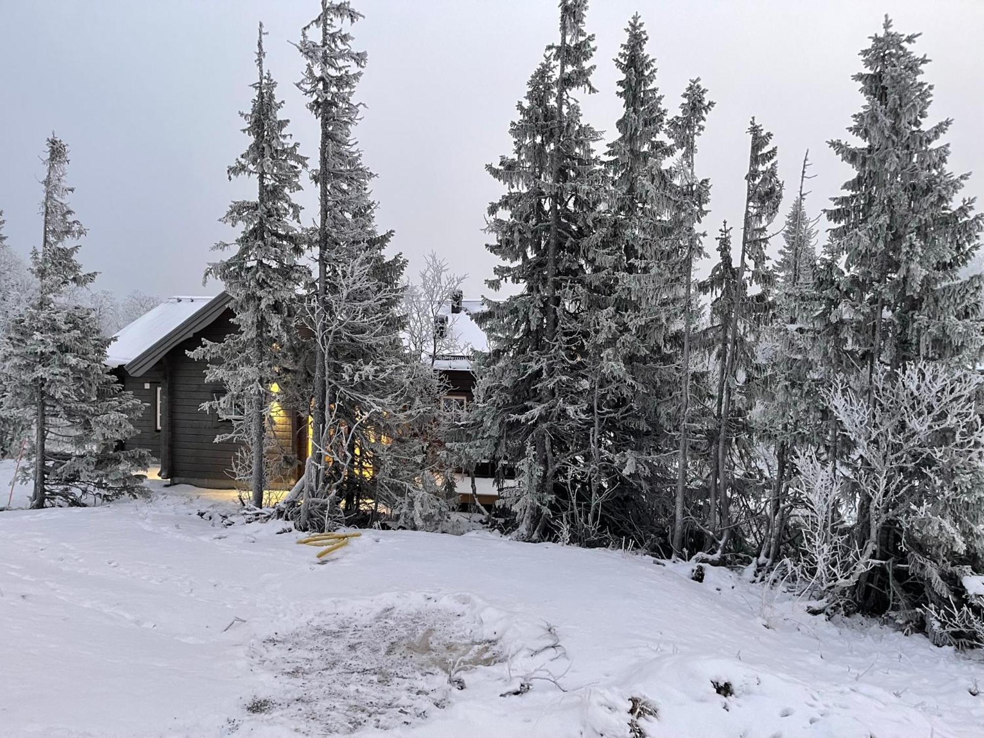 Mountain Holiday Homes - Ottsjoe, Trillevallen -Sweden Åre Oda fotoğraf