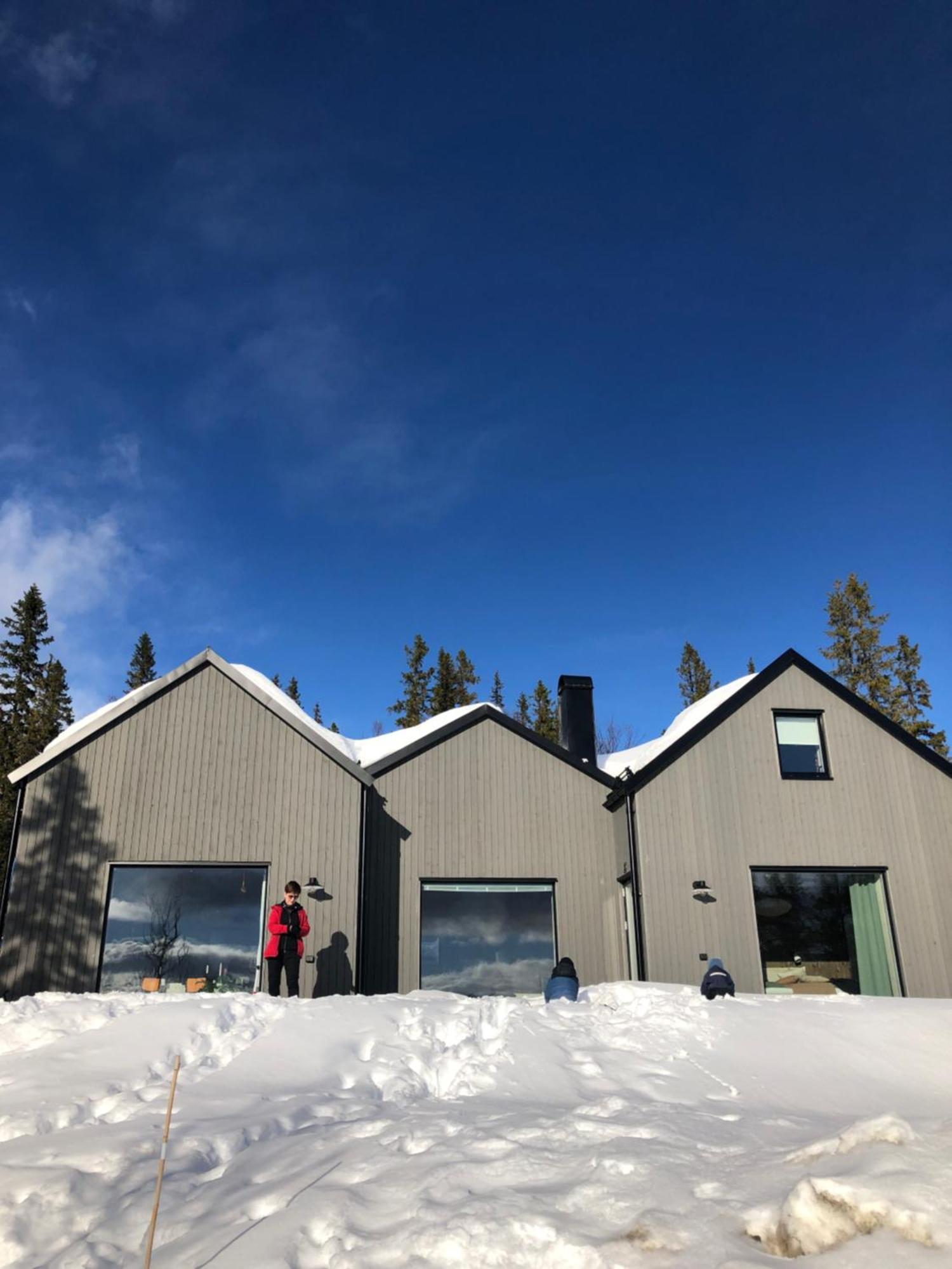 Mountain Holiday Homes - Ottsjoe, Trillevallen -Sweden Åre Dış mekan fotoğraf