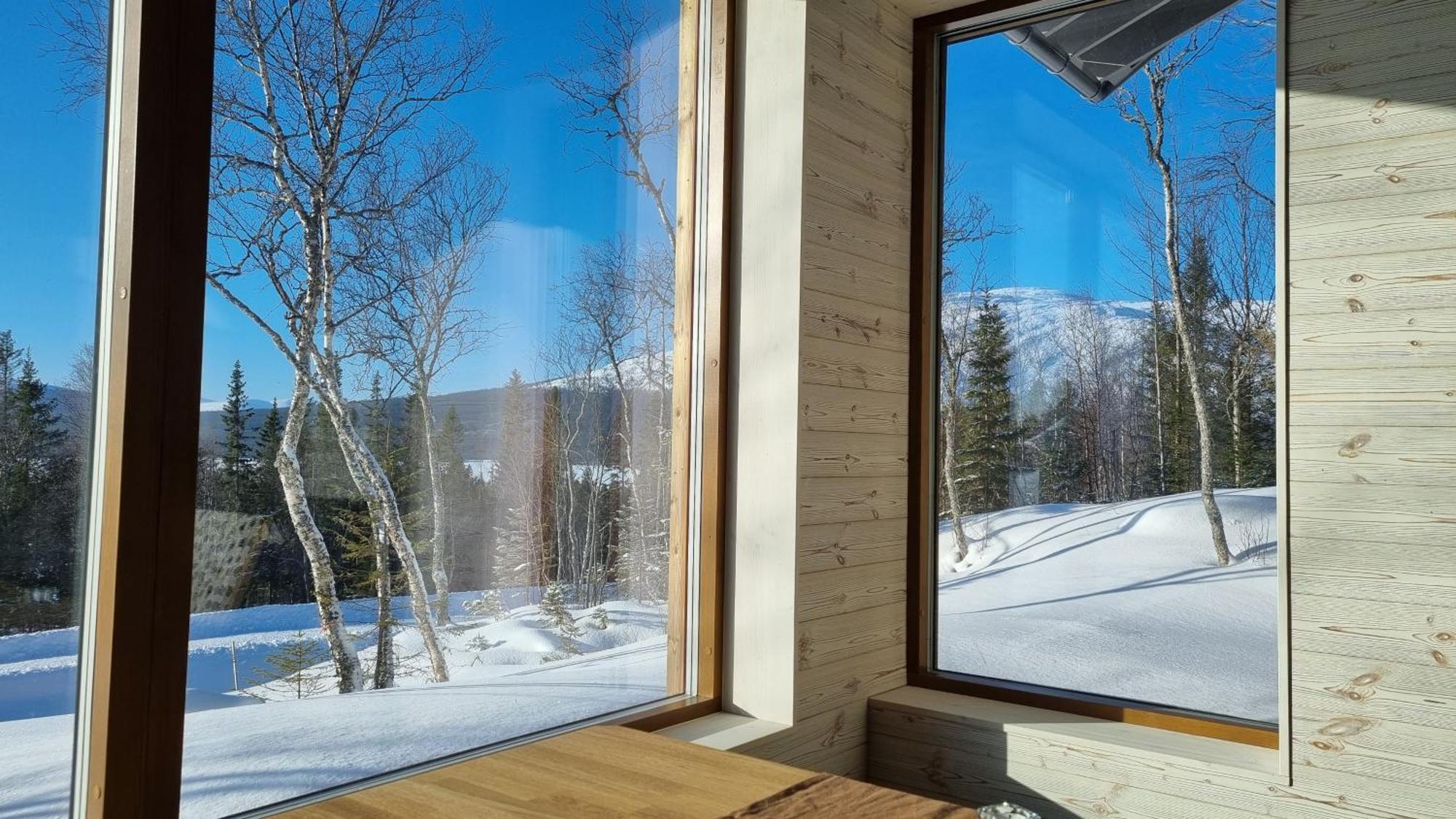 Mountain Holiday Homes - Ottsjoe, Trillevallen -Sweden Åre Oda fotoğraf