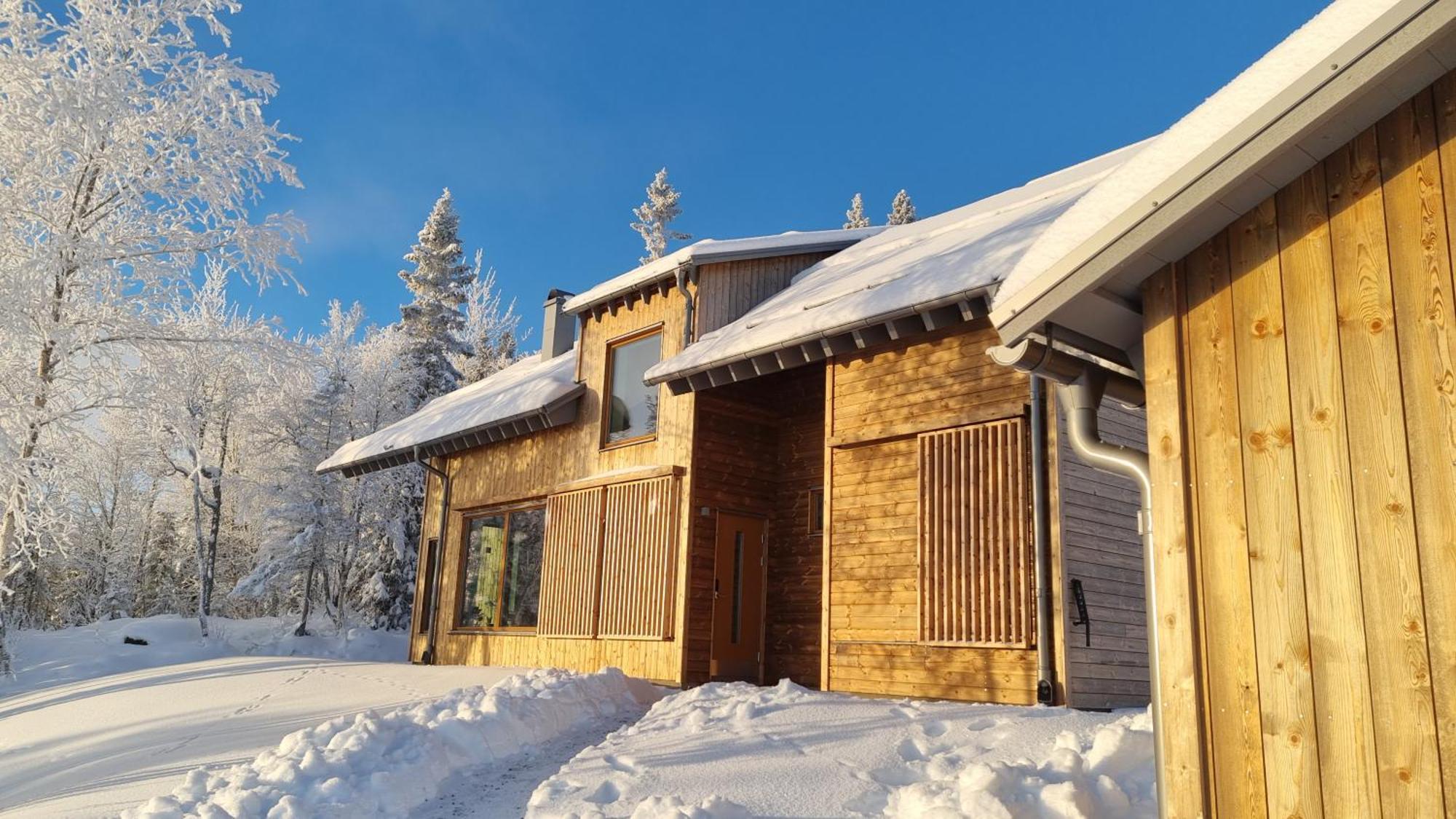 Mountain Holiday Homes - Ottsjoe, Trillevallen -Sweden Åre Dış mekan fotoğraf