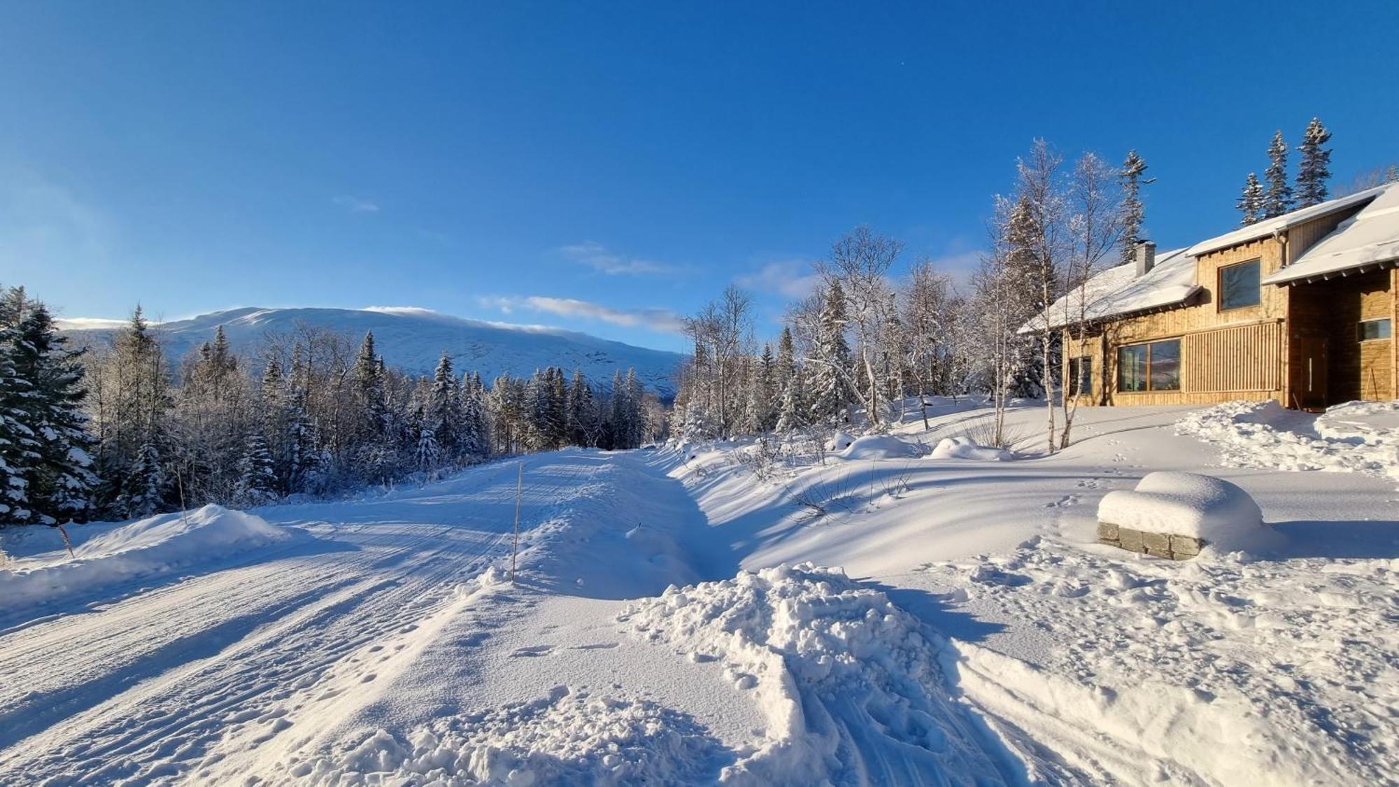 Mountain Holiday Homes - Ottsjoe, Trillevallen -Sweden Åre Oda fotoğraf