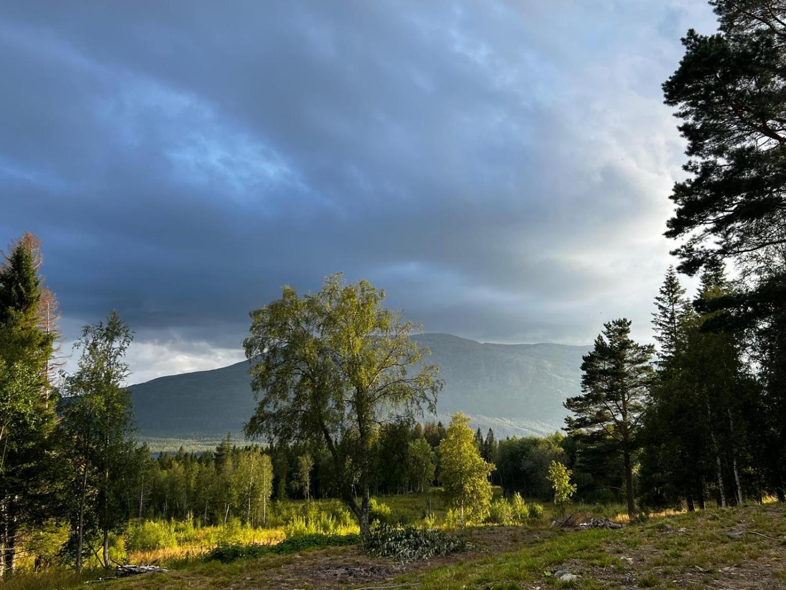 Mountain Holiday Homes - Ottsjoe, Trillevallen -Sweden Åre Oda fotoğraf
