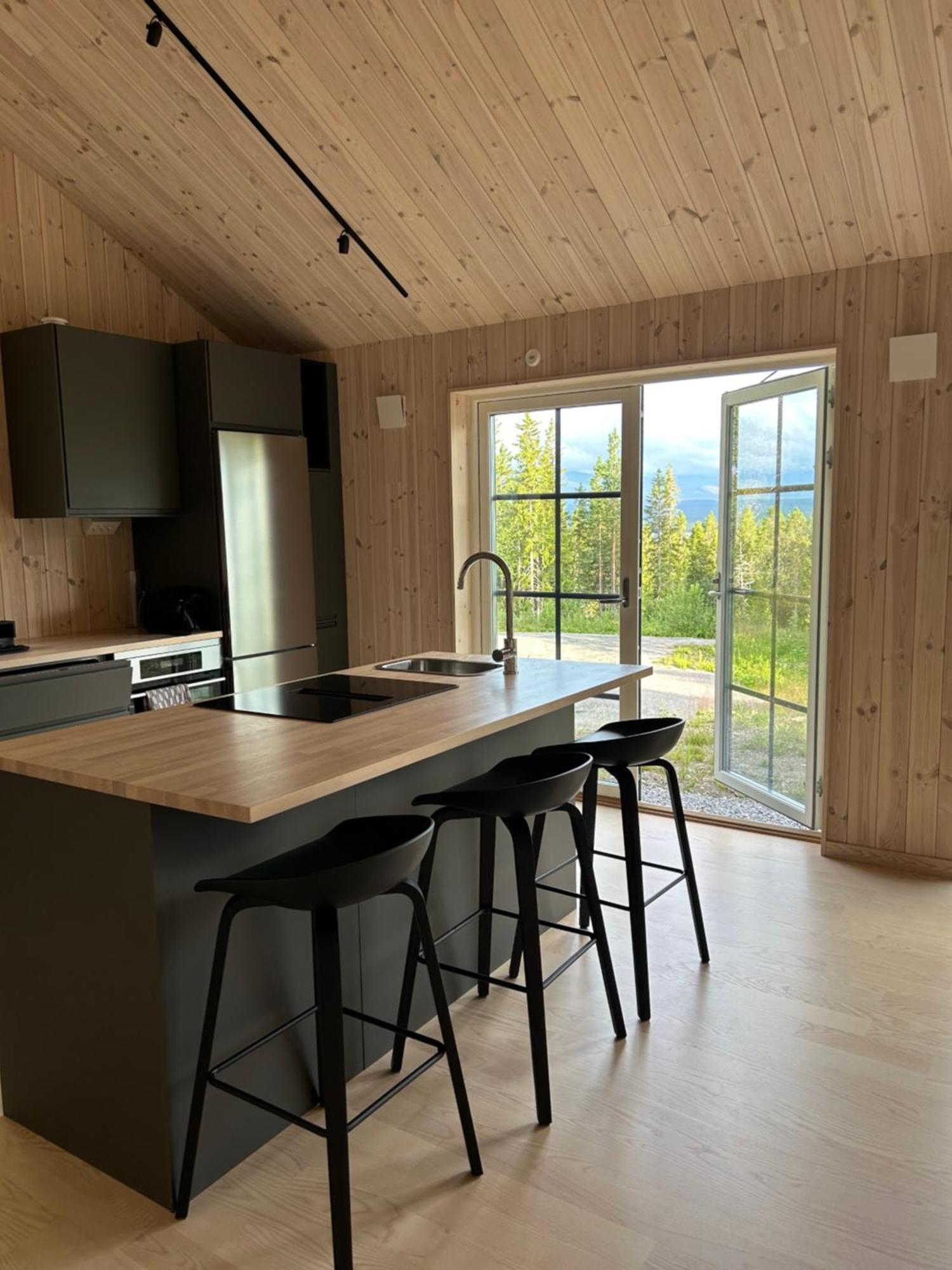 Mountain Holiday Homes - Ottsjoe, Trillevallen -Sweden Åre Dış mekan fotoğraf